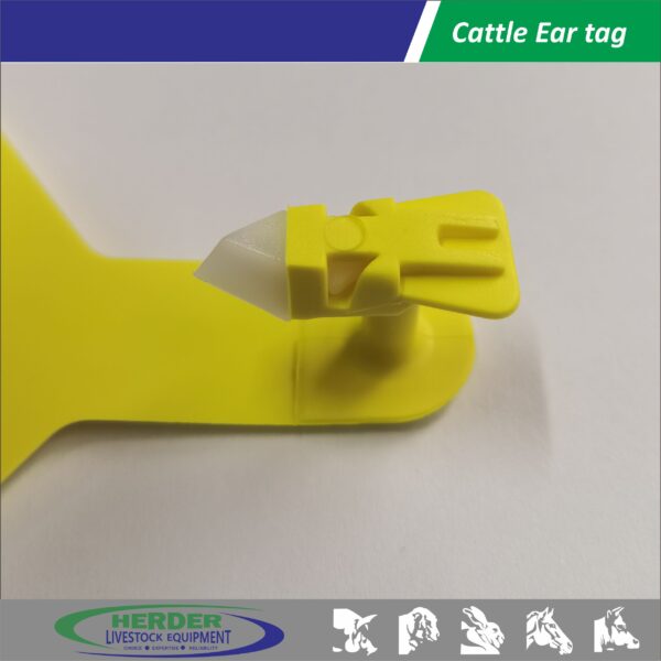 Cattle Ear Tags - 图片 2