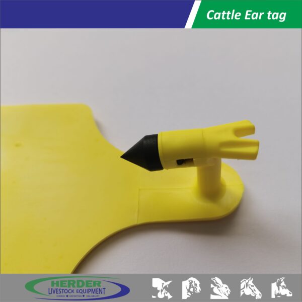 Cattle Ear Tags - 图片 3