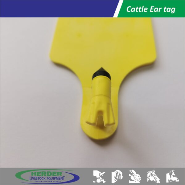 Cattle Ear Tags - 图片 4