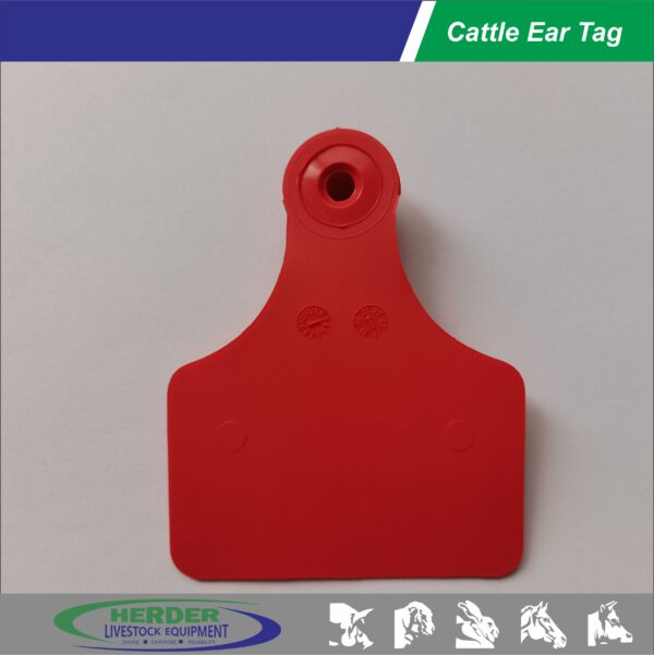 Cattle Ear Tags - 图片 3