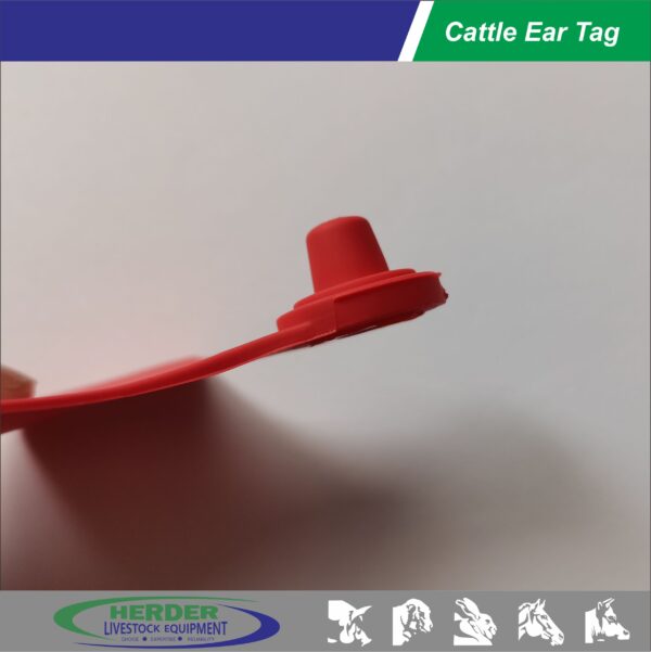 Cattle Ear Tags - 图片 4