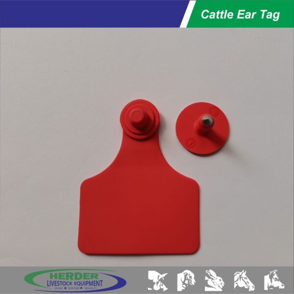 Cattle Ear Tags - 图片 5