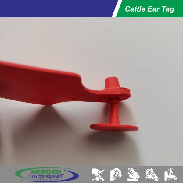 Cattle Ear Tags - 图片 7