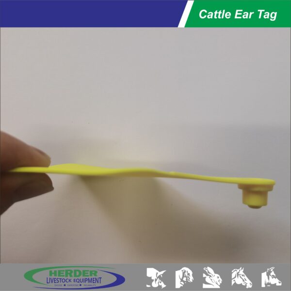 Cattle Ear Tags - 图片 4