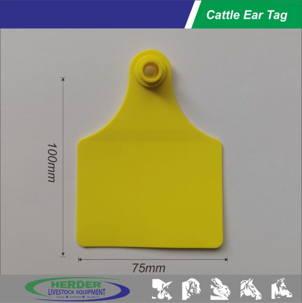 Cattle Ear Tags - 图片 2